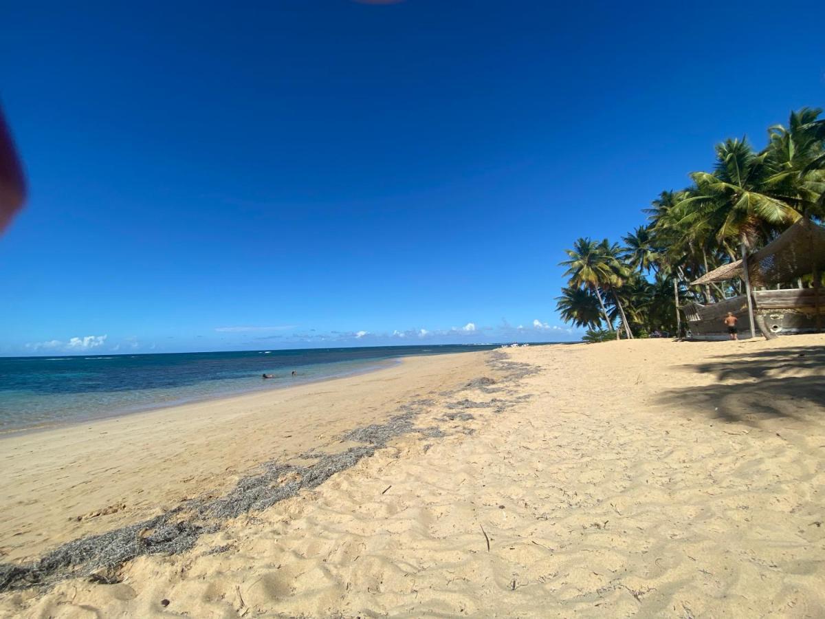 Las Terrenas Beachfront 2 Bedrooms Condo With Pool מראה חיצוני תמונה